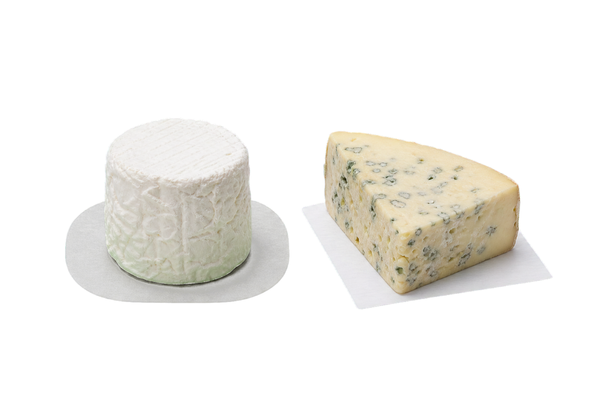 Absorbent pads for wet cheeses