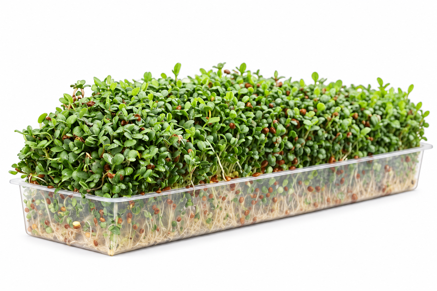 Growing media for microgreens, herbs, mustard, cress etc.