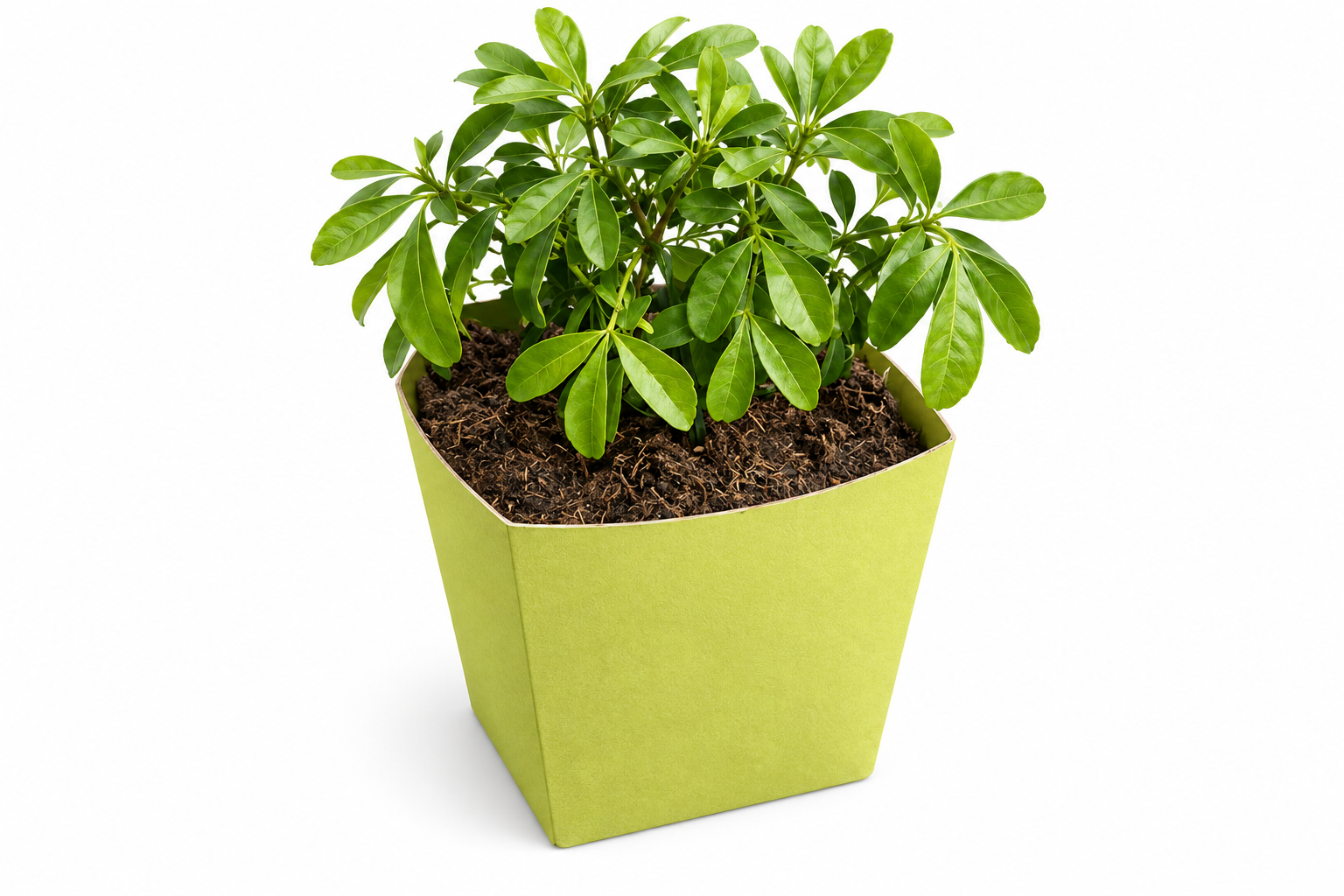 Biodegradable, recyclable water-proof plant pots